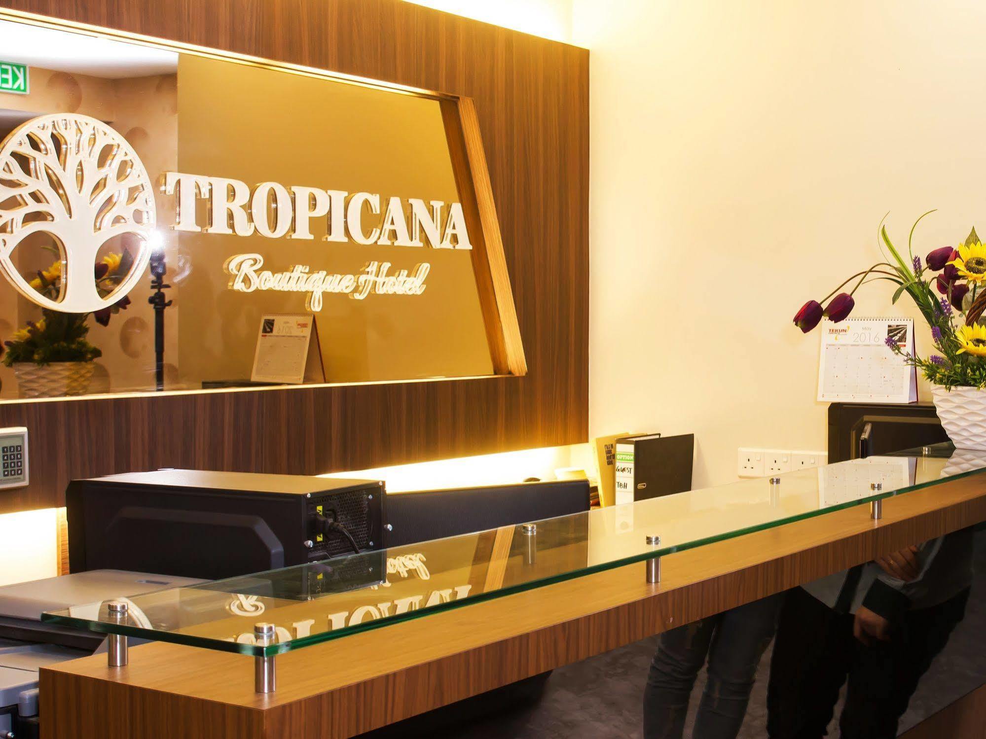 Tropicana Homestay 麻坡 外观 照片