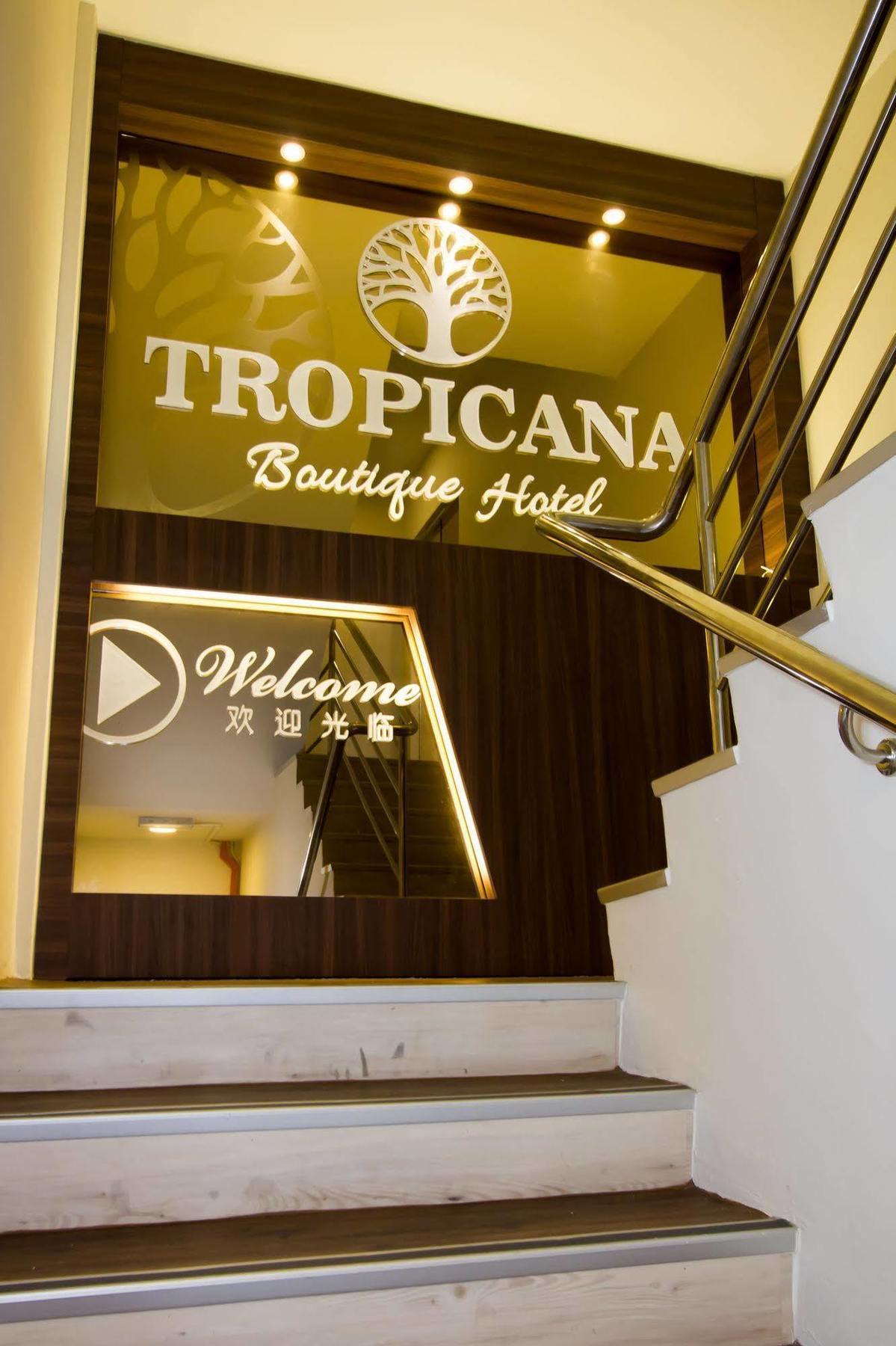 Tropicana Homestay 麻坡 外观 照片